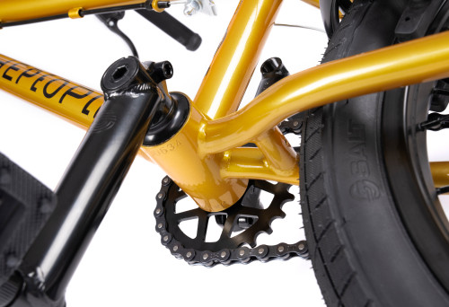 Wethepeople SEED 16" Gold